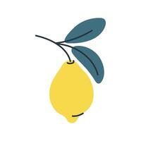 Illustration of lemon on branch with leaves. Perfect for summer, botanical and food designs. vector