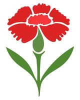 Illustration of red carnation isolated in white background vector