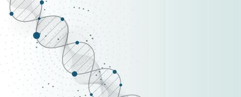 a dna strand is shown with dots on it vector
