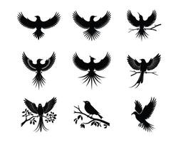 Silhouettes of Birds in Flight and on Branches vector
