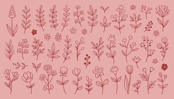 Whimsy flower set. Collection of various flower branch leaf designs on a pink background. Outline in red color, different styles and sizes vector