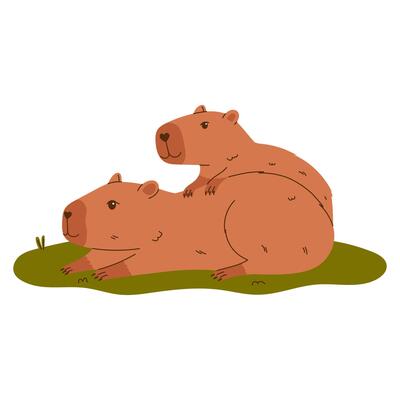 Cute capybara characters. Exotic rodents play on the grass. Hand drawn illustration.