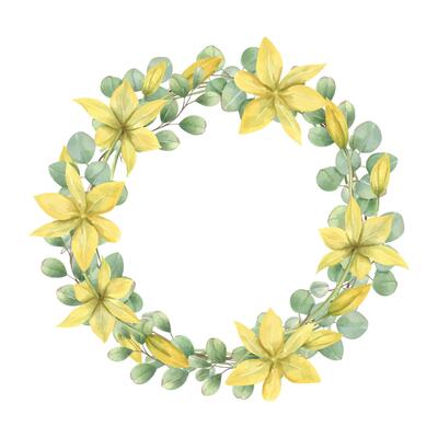 Spring yellow tulip flowers, green eucalyptus leaves watercolor wreath with empty space for text. Wild primroses floral illustration isolated background. Round frame for wedding, greeting card.