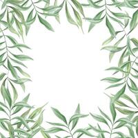 Watercolor square frame with eucalyptus or oleander foliage, featuring empty center space for text or design. Hand painted ivy leaves botanical border for invitation, label, and social media template. vector