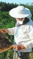 Beekeeper is working with bees and beehives video
