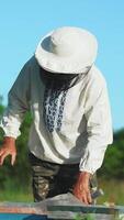 beekeeper working in the apiary. Beekeeping concept. Beekeeper harvesting honey Vertical video
