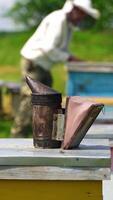 Beekeeper working in apiary video