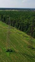 Pylons and electrical power lines. video