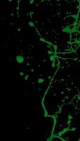 Green Ink Explosion Slow Motion video
