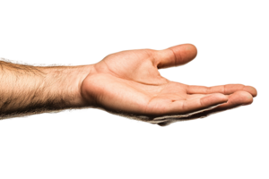 Human hand showing the palm open and presenting something for display png