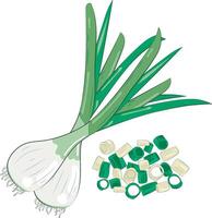 Chopped Green Onion Element Chives Slices Illustration Graphic Element vector