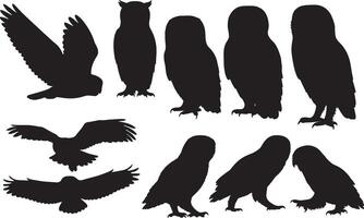 Owl silhouettes set of different birds vector