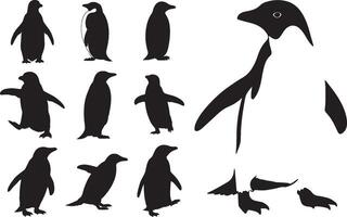 Penguin silhouette set illustration vector