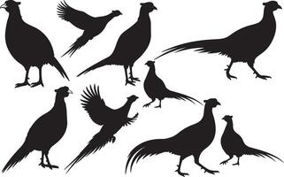Set of pheasant silhouettes vector