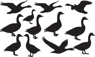 Geese silhouette set vector