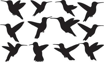 A set of silhouettes of hummingbirds vector