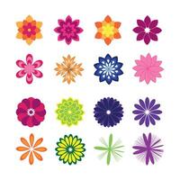 Decorative Botanical Designs for Creative Projects vector