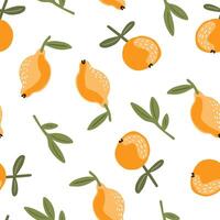 Abstract fruit citrus pattern on white background, illustration for packaging, fabric and textile vector