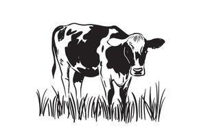 Black cow on the grass vector