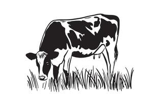 cow on the grass on white vector