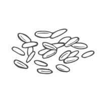 rice grains sketch isolated on white background vector