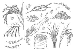 Rice doodle set, grain in sack and porridge in bowl. Rice ears and rice field. sketch illustration. Hand drawn isolated design elements. vector