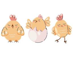 Cute Cartoon Chicken Characters in Various Poses vector