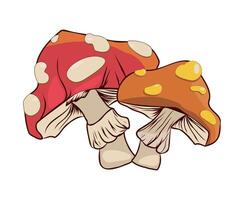 Illustration of Two Colorful Mushrooms with Detailed Caps and Stems vector