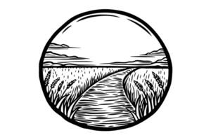 Circular landscape illustration of a path through wheat field vector