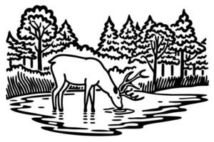 deer drinking by forest lake woodland wildlife, tranquil nature scene with trees and reflection vector