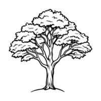 intricate tree illustration with lush canopy and detailed trunk, monochrome line drawing vector