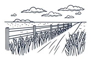 Scenic oceanside fence with wheat field and cloudy sky line art illustration vector