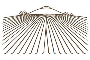 Minimalist landscape illustration with linear fields and horizon vector