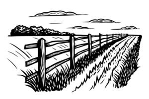 Black and white countryside fence alongside open field with cloudy sky vector