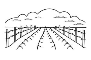 Vineyard landscape sketch with vines and trellis under cloudy sky, rural agriculture scene vector