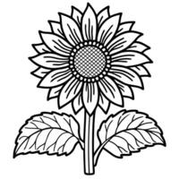 sunflower illustration outline drawing, botanical design for coloring and floral art projects vector