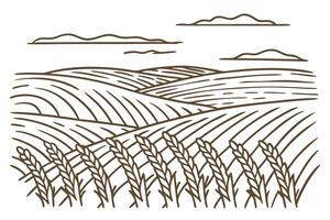minimalist wheat field illustration with rolling hills and clouds vector