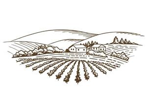 Rustic countryside landscape with farmhouses and fields, minimalist line art vector