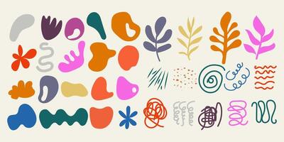 Abstract Colorful Shapes, Organic Forms, Floral Elements Design vector