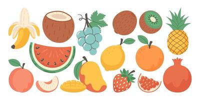 Set of various hand drawn fruits and berries on white background. Watermelon, banana, pomegranate vector
