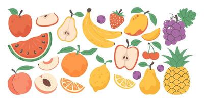 Set of different fruits and berries, hand drawn, on white background. Apple, pineapple, peach vector
