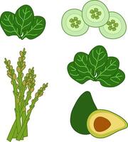 Spinach leaves, cut cucumber, asparagus. avocado composition set. flat illustration of green vegetables on transparent background. For logo, web, package, sticker. Eat green vector