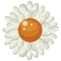 Colored icon of an open white daisy bud with a yellow center, for various designs and backgrounds with flowers vector