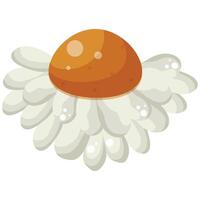 Color icon of an open white daisy bud with a yellow center, side view, for various designs and backgrounds with flowers vector