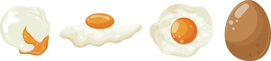 set of various cooked chicken eggs, namely fried eggs, boiled eggs in their shells and eggs with runny yolks, for various designs and patterns vector