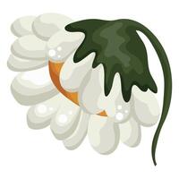 Colored icon with a half-closed white daisy bud with a yellow center, for various designs and backgrounds with flowers vector