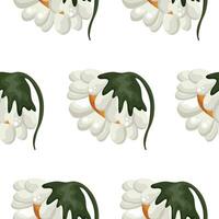 floral pattern with half-closed white daisies tilted to the side, for patterns, textiles or holiday cards vector
