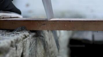 Sawing a log with an electric saw. Cutting tree branch. Logging. video