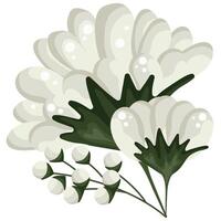 Colored icon with closed white chamomile buds of different sizes and shapes, for various designs and backgrounds with flowers vector