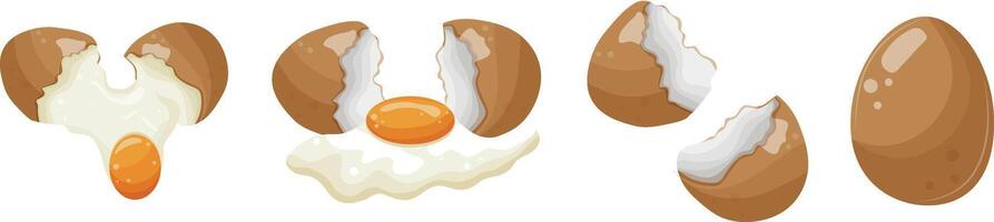 set of various chicken eggs in the process of breaking the egg and shells from under the chicken egg, for various designs and patterns vector